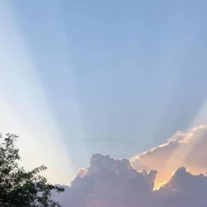 Meet your Posher, Sheila